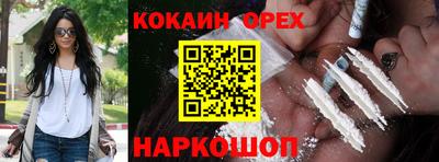 гашик Будённовск