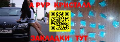 гашик Будённовск