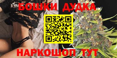 гашик Будённовск