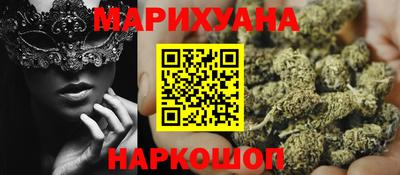 гашик Будённовск